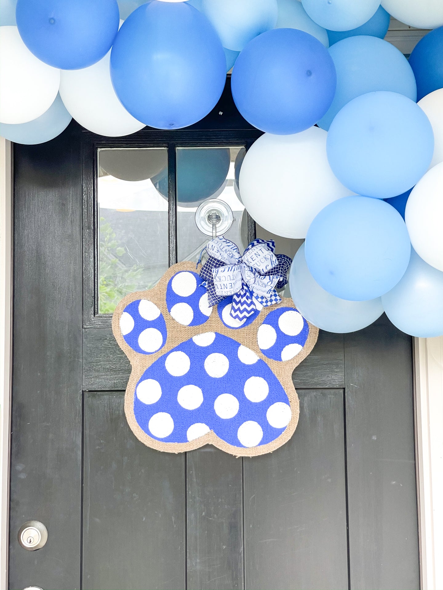 Big Blue Polka Dot Cat Paw