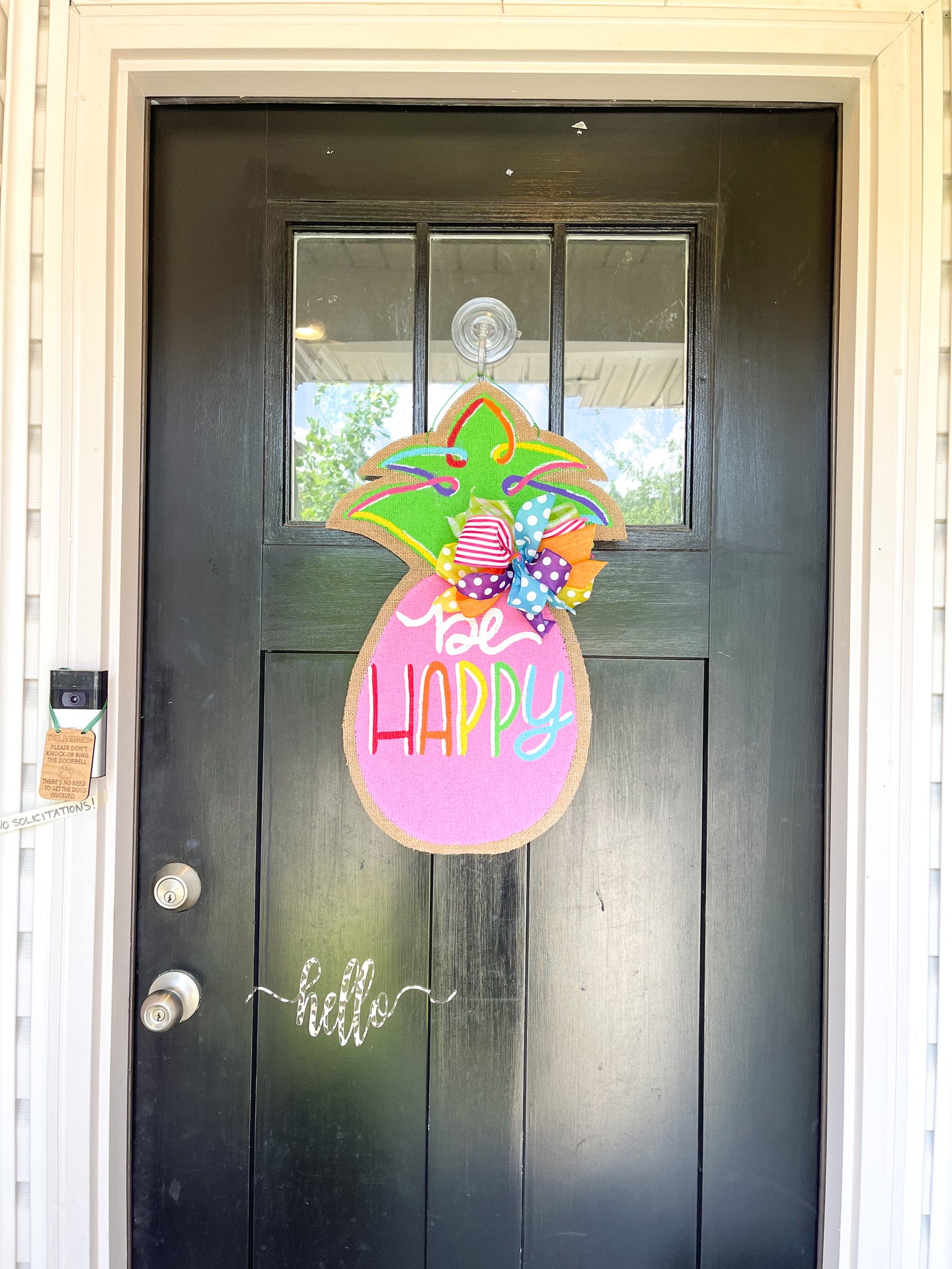 Be Happy Rainbow Pineaple Door Hanger in Pink