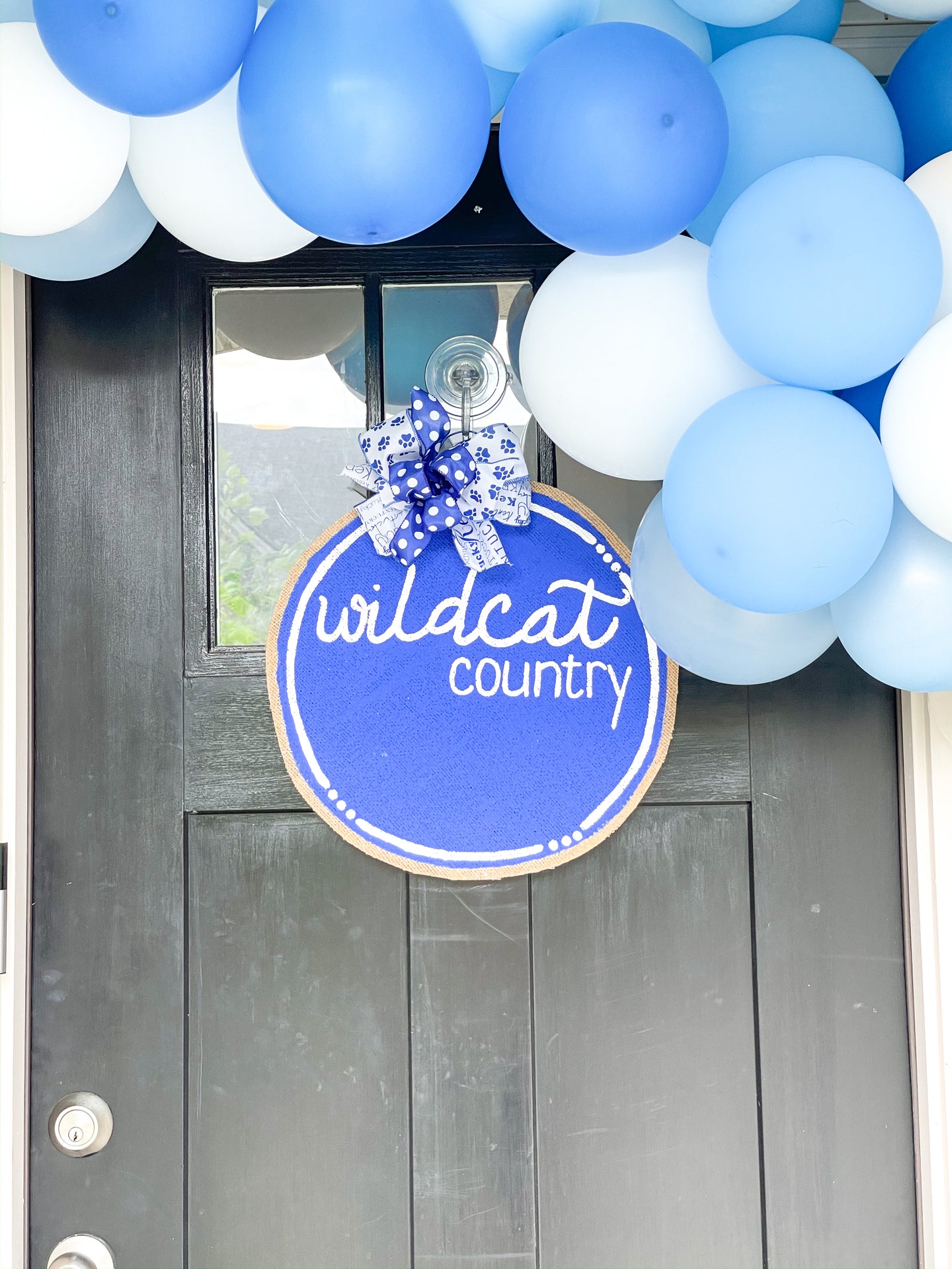 Wildcat Country Circle Door Hanger